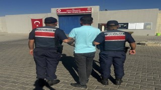 Hırsızlık suçundan hapis cezasıyla aranan şahsı jandarma yakaladı