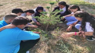 Hisarcık AİHLde ilk ders, Yeşil Vatan