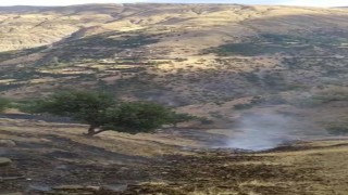 Hizanda anız yangını