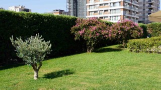 İçerisi şifa, dışarısı botanik bahçesi