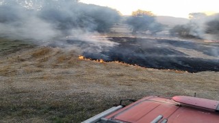 İki farklı noktada çıkan arazi yangınları büyümeden söndürüldü