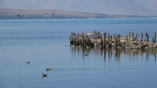 İklim değişikliği Van Gölü Havzasını tehdit ediyor