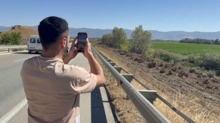 İlçenin simgesi olmuştu, ağaç koridorundan geriye kökleri kaldı
