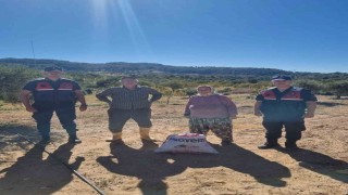 İncir hırsızlığına Jandarmadan suçüstü: 37 kilo kuru incir ele geçirildi