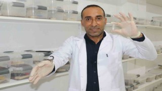İnşaatçılıktan akrep zehri üretimine geçti, gramından on binlerce dolar kazanacak