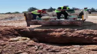 İnsan sağlığını tehdit eden kilolarca turşu imha edildi