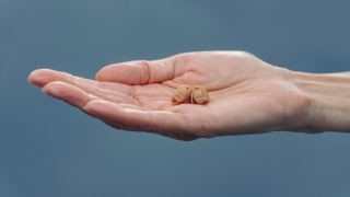 İşitme Cihazı Teknolojisinde 2025 Yenilikleri