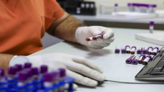 İspanyadan gelen kan, anne ve bebeğini hayata bağladı