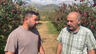 Ispartada bir gecede 4 bin 200 ton elma doluya teslim oldu, zarar 170 milyon TL