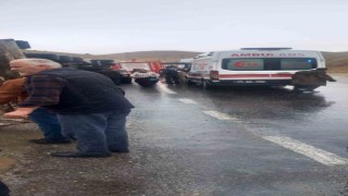 İspirde koyun yüklü tır devrildi: Can pazarı yaşandı