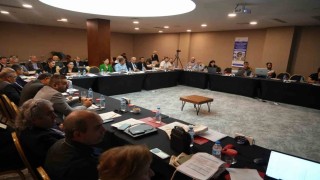 İsrail sazanı Karadenizde büyük tehdit oluşturmaya devam ediyor