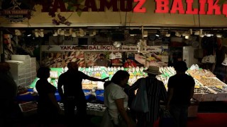 İstanbulda balık sezonu hamsi ve istavrit bolluğuyla başladı