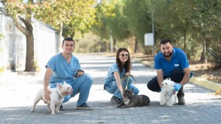 İzmirde el konulan 20 cins köpek Işıkkent Köpek Bakımevinde