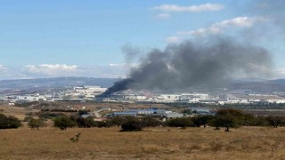 İzmirde fabrikada korkutan yangın