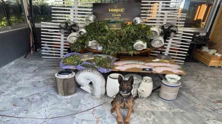 İzmirde zehir tacirlerine darbe: 11 operasyon, 11 tutuklama