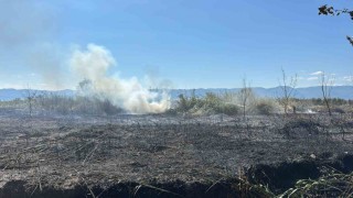 İznik Boyalıcada sazlık alanda yangın: 100 dönüm alan küle döndü