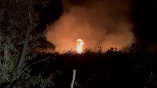 İznikte korkutan yangın