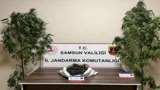Jandarma 3 kilo 237 gram esrar ele geçirdi