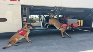 Jandarmadan ‘uyuşturucu denetimi