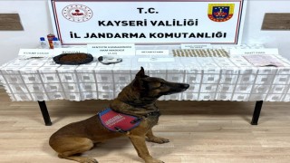 Jandarmadan uyuşturucu operasyonu: 1 gözaltı