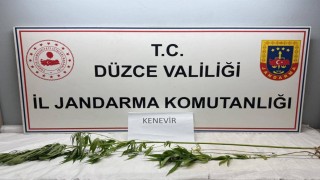 Jandarmadan uyuşturucu operasyonu