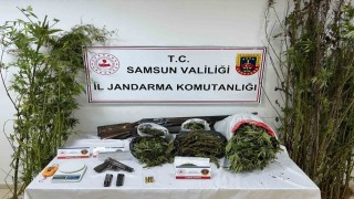 Jandarmadan uyuşturucu operasyonu: Esrar, kenevir ve silah ele geçirildi
