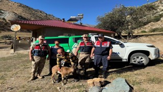 Jandarmadan yaralı yaban keçisine yardım eli