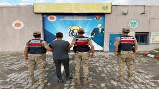 Kağızmanda büyükbaş hayvan hırsızı yakalandı