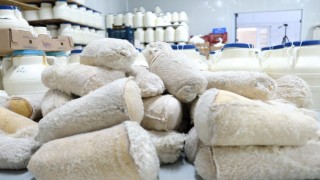 Kahvaltı sofralarına 3 bin rakımdan gelen lezzet: Erzincan tulum peyniri