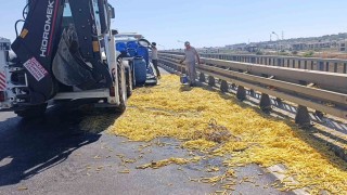 Kamyonet bariyerlere çarptı, kilolarca patates yola saçıldı