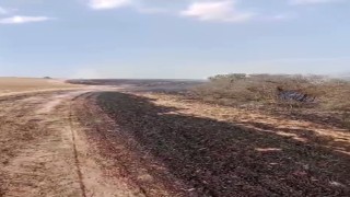 Kapaklıda çıkan yangında 8 dönüm arazi kül oldu