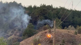 Karabükte yangın 3 saatte kontrol altına alındı