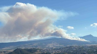 Karabükte yangınlar art arda çıkıyor