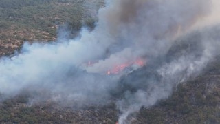 Karabükteki yangınla ilgili 5 kişi gözaltına alındı