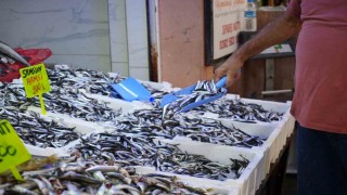 Karadenizin incisi hamsi tezgahlarda: Ne alırsan 100 TL