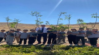 Karapınarda 100 Öğrenci 100 Fidan etkinliği