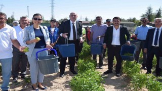 Karapınarda Doğayla El Ele Öğreniyorum, Üretiyorum, Paylaşıyorum projesi meyvelerini veriyor