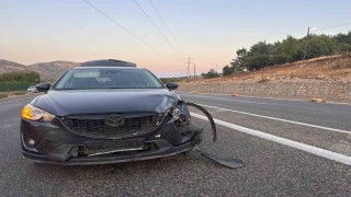 Karayoluna çıkan sürüye otomobil çarptı