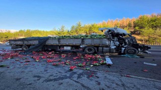 Karpuz yüklü tır otoyolda devrildi