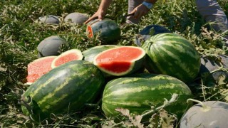 Karpuzun fiyatı 70 kilometrede 30a katlanıyor