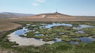 Karsta kuraklığın vurduğu Çalı Gölünü kuşlar terk etti