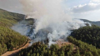 Kastamonu-Karabük sınırında ikinci orman yangını: Havadan ve karadan müdahale ediliyor