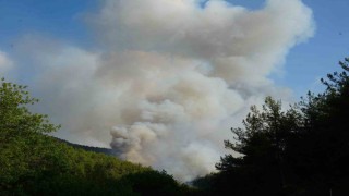 Kastamonu Valiliğinden açıklama: Yangın sebebiyle tahliye edilen köy sayısı 6ya çıktı