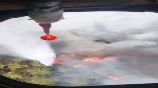 Kastamonu ve Karabükteki yangınlara havadan müdahaleler sürüyor