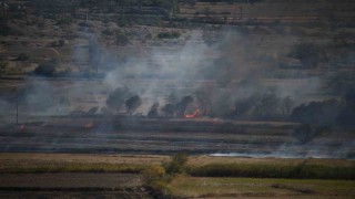 Kastamonuda çeltik tarlasında çıkan yangın söndürüldü