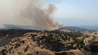 Kastamonuda havadan çekilen görüntüler acı tabloyu gözler önüne serdi