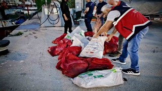 Kastamonuda kaçak avlanan 142 kalkan balığına el konuldu