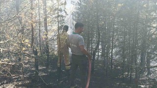 Kastamonuda orman yangını: 10 dönümlük alan zarar gördü