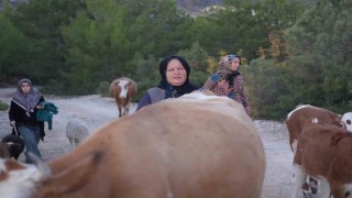 Kastamonuda orman yangını kontrol altına alındı, vatandaşlar köylerine kavuştu