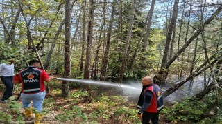 Kastamonuda ormanlık alanda çıkan yangın ekiplerin müdahalesiyle söndürüldü